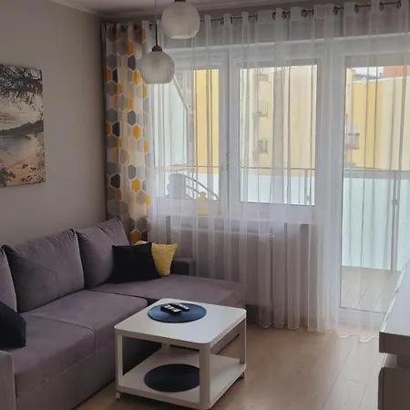 Miodowy Dom アパート